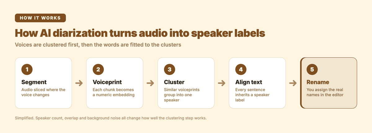 How AI diarization turns audio into speaker labels: segment, voiceprint, cluster, align, rename