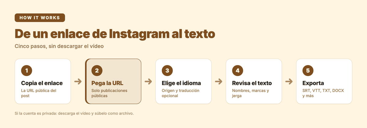 De un enlace de Instagram al texto: copia el enlace, pega la URL, elige el idioma, revisa el texto y exporta